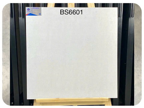 Gạch Viglacera Kt 60x60cm BS6601